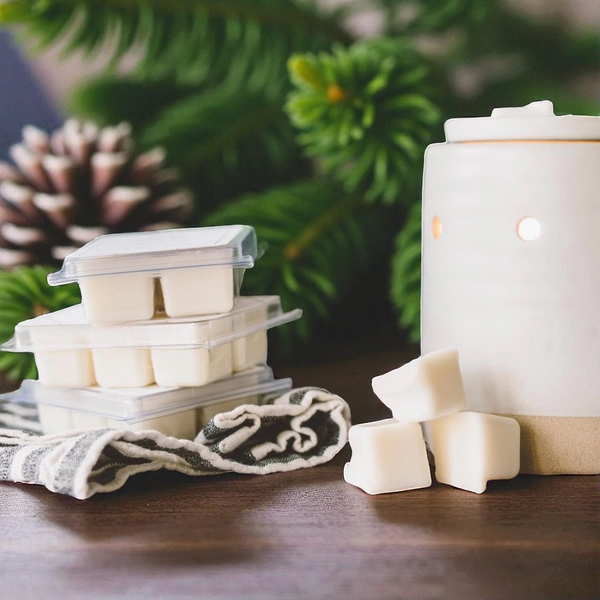 Cascadia Rain Wax Melts | Fresh Rain & Forest Air