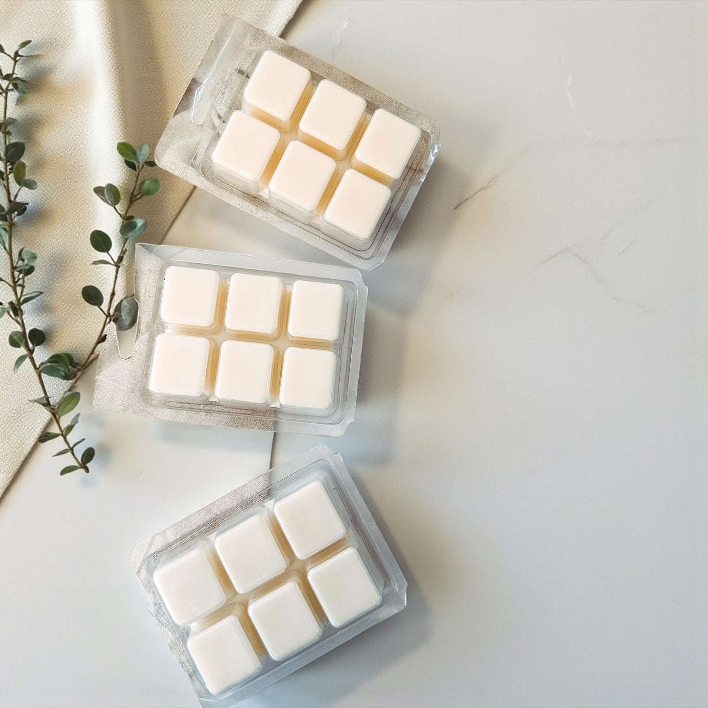 Cascadia Rain Wax Melts | Fresh Rain & Forest Air