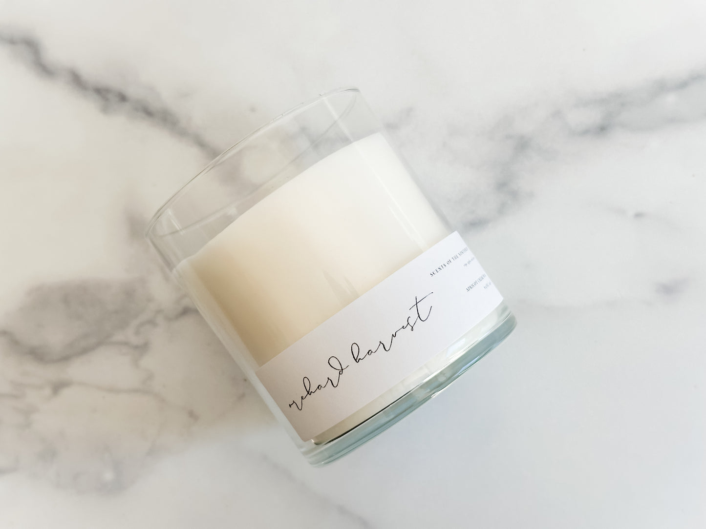 Orchard Harvest Apple Spice Scented Candle for Fall